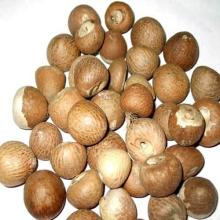 Betel Nuts