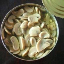 canned sliced mushroom