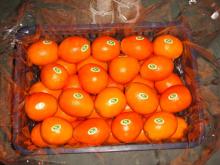 2012 navel orange