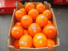  Newhall   navel   orange 
