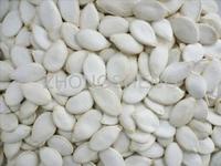 Sell Snow White Pumpkin Seed