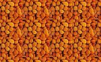 Bitter Apricot Kernel