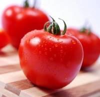 Fresh Tomatoes