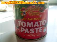 Tomato Paste Brix 28-30 & 22-24 for Middle East