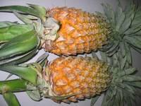 Fresh Pineapple