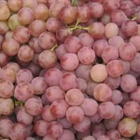 Fresh Red Globe Grape
