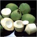 Young Coconut