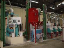 complete equipment for grain processsing