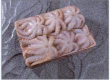 octopus slice