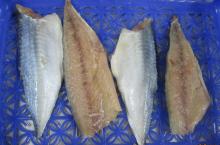 Mackerel Fillet