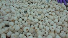 Frozen Lychee Meat