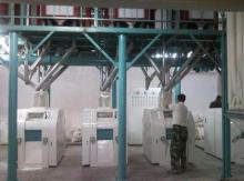 5-500TPD flour processing machinery