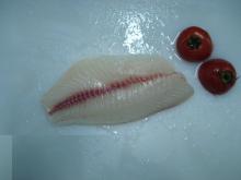  tilapia   fillet   deep   skinned 