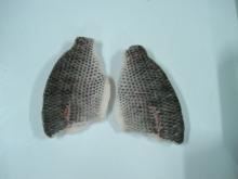 tilapia fillet skin-on