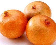 Chinese new crop onion