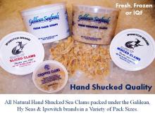 Fresh &  Frozen  Clam Products