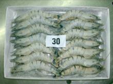 Frozen Black Tiger Shrimp
