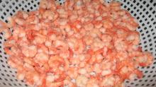 IQF CPTO White Vaanamei Shrimp