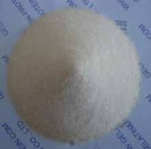 GP China Gelatin Ingredients B