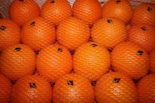 Clementine Orange Navel