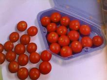 Cherry Tomato
