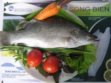 Barramundi whole, cleaned