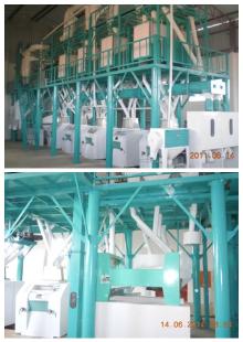 10TON/DAY flour production equipment