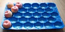 PP Tomato Tray