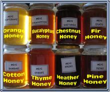  Honey 