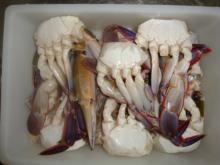  Frozen   Cut   Crab  Seafood