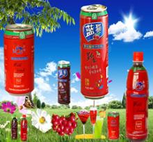 High Vitamin C Fruit Juice Soft Drink