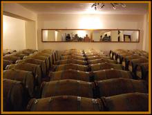 Organic Wines