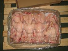  chicken   halal 