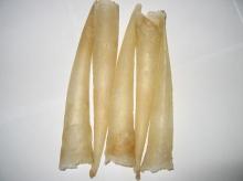dried fish maw