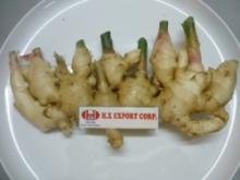 ginger