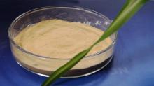 Yeast Extract for  Food  Seasoning
