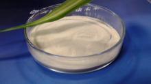 Nutritional Beer Yeast