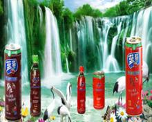 Blue Cat Wild Chinese Date Juice Soft Drink