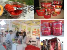 Power Seller! Red Tomato Paste 70gram in can/tin