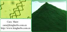  Spirulina   Extract 