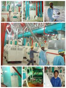 100-500ton/day semolina flour grinding line