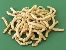 Textrued  Soy   Protein   Processing   Machine s