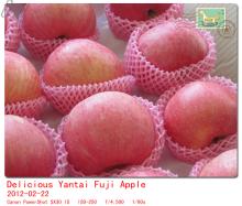 Yantai Delicious Red Fuji Apple