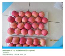 Fresh Delicious Red Fuji Apple