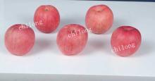 red fresh fuji apple
