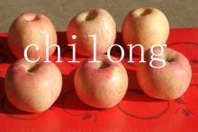 Red fresh apple