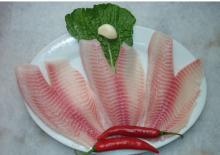 Frozen  Tilapia   fish  Fillet