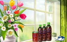 healthy jujube juice in high vitamin C