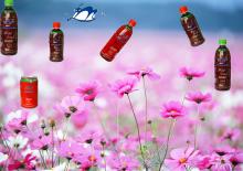 high vitamin C jujube juice and beverage