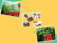 high quality soft drink and beverage-low fat